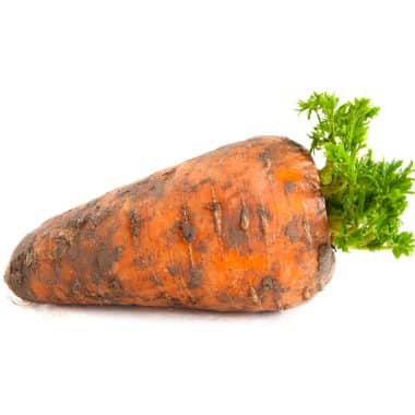 carotte de luc