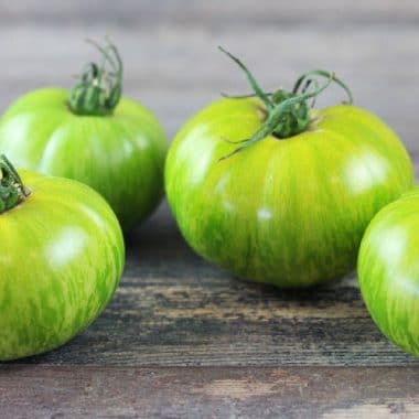 tomate ancienne verte